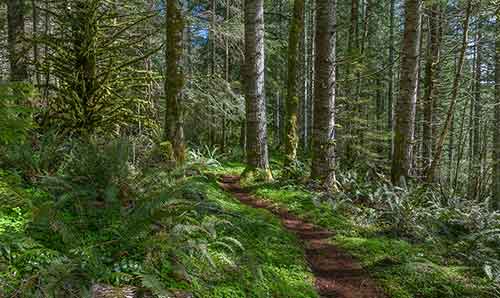 Spruce Run Trail